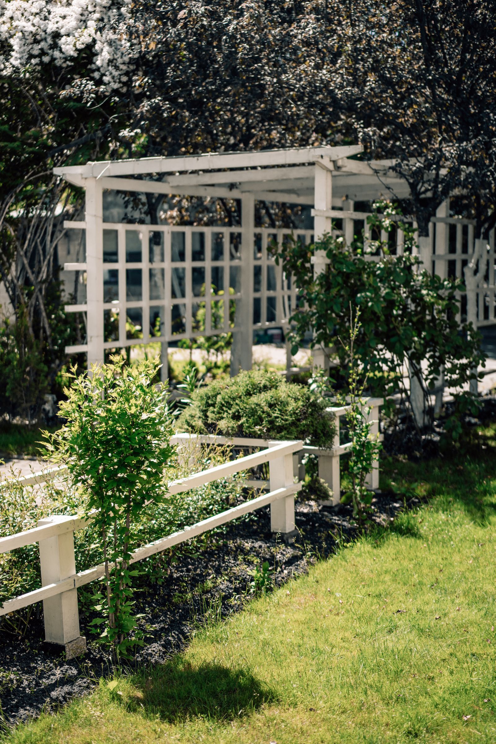 A natural flagstone walkway curving through a finished landscaped yard