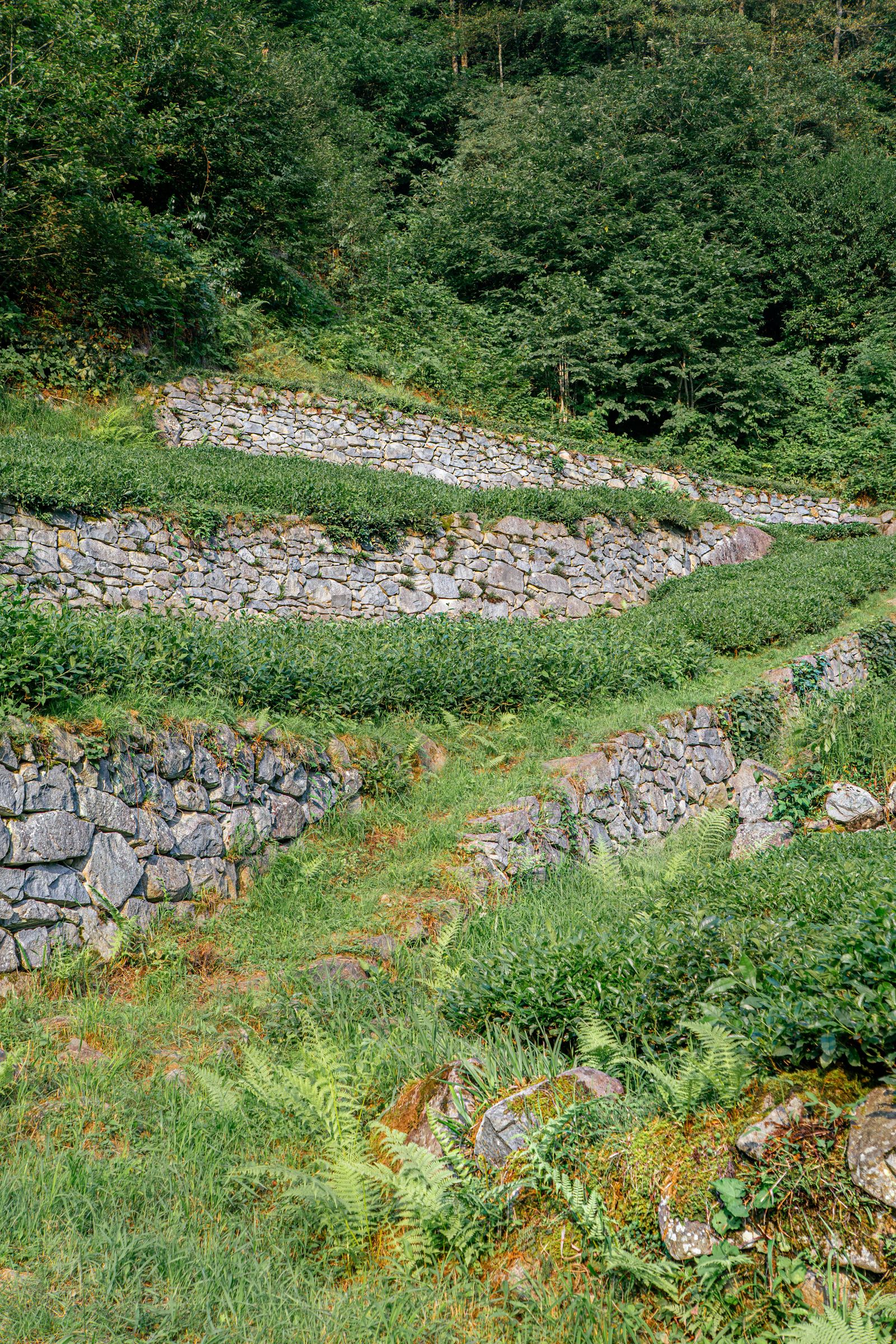 A natural stone retaining wall