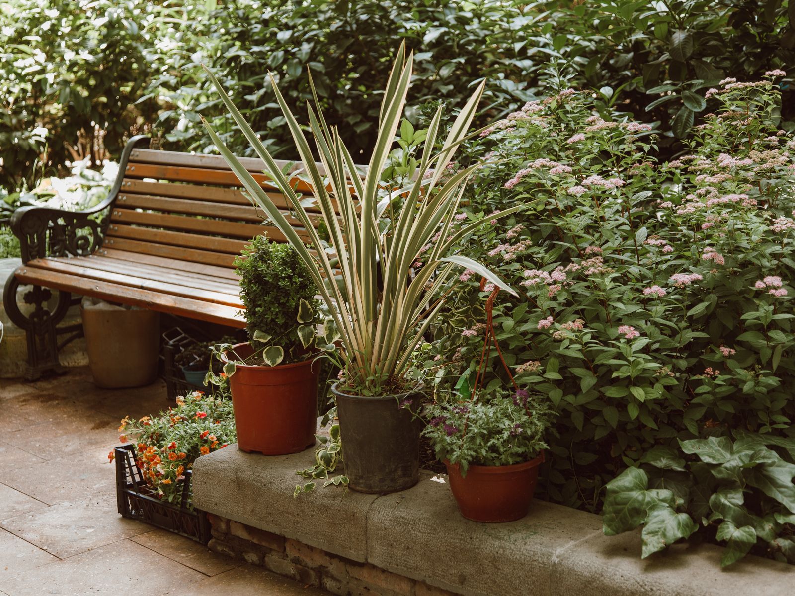 A garden path with planted borders