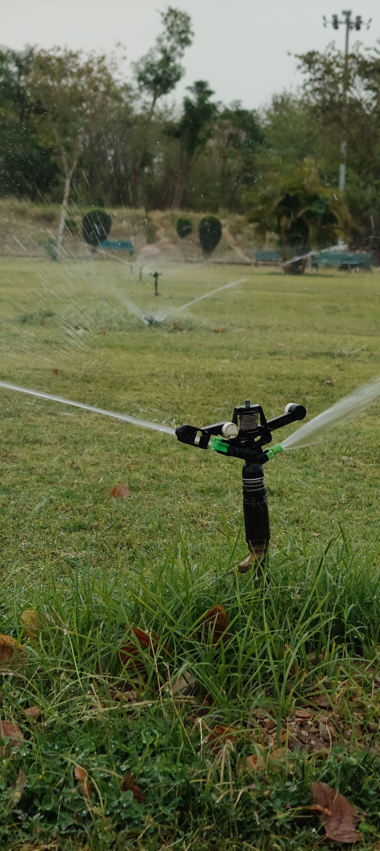 An irrigation sprinkler watering a green lawn