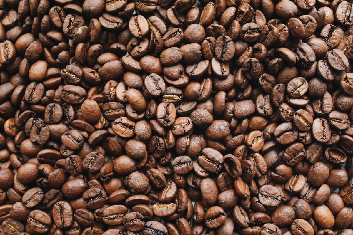 A full frame of freshly roasted beans
