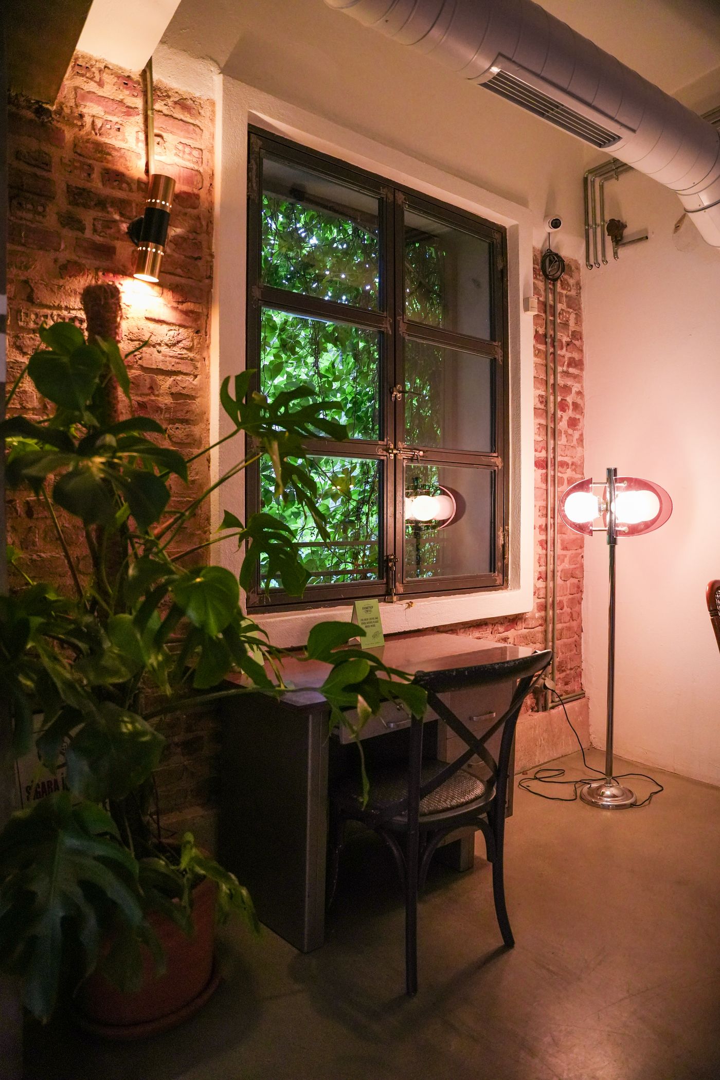 A tidy workstation by a window with plants