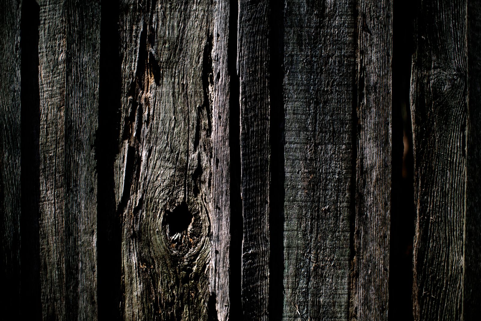 Weathered cedar fence