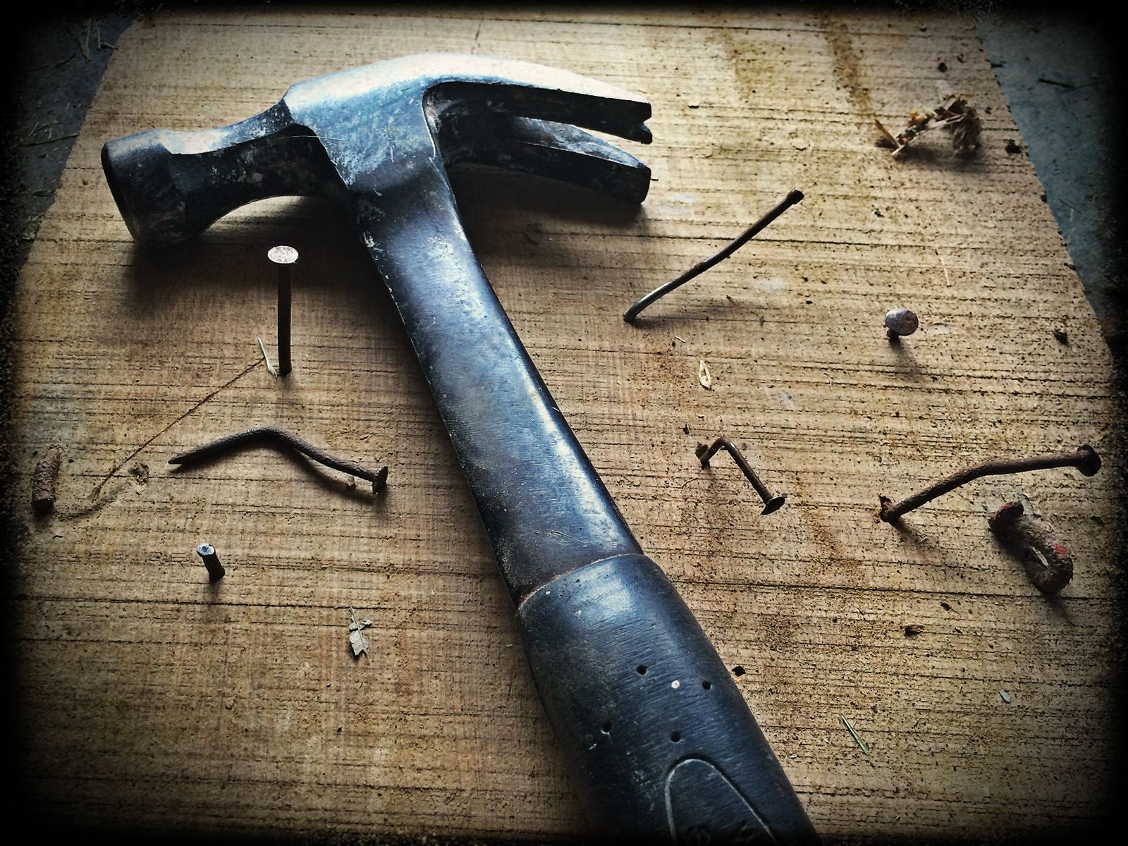 Hammer and nails on cedar