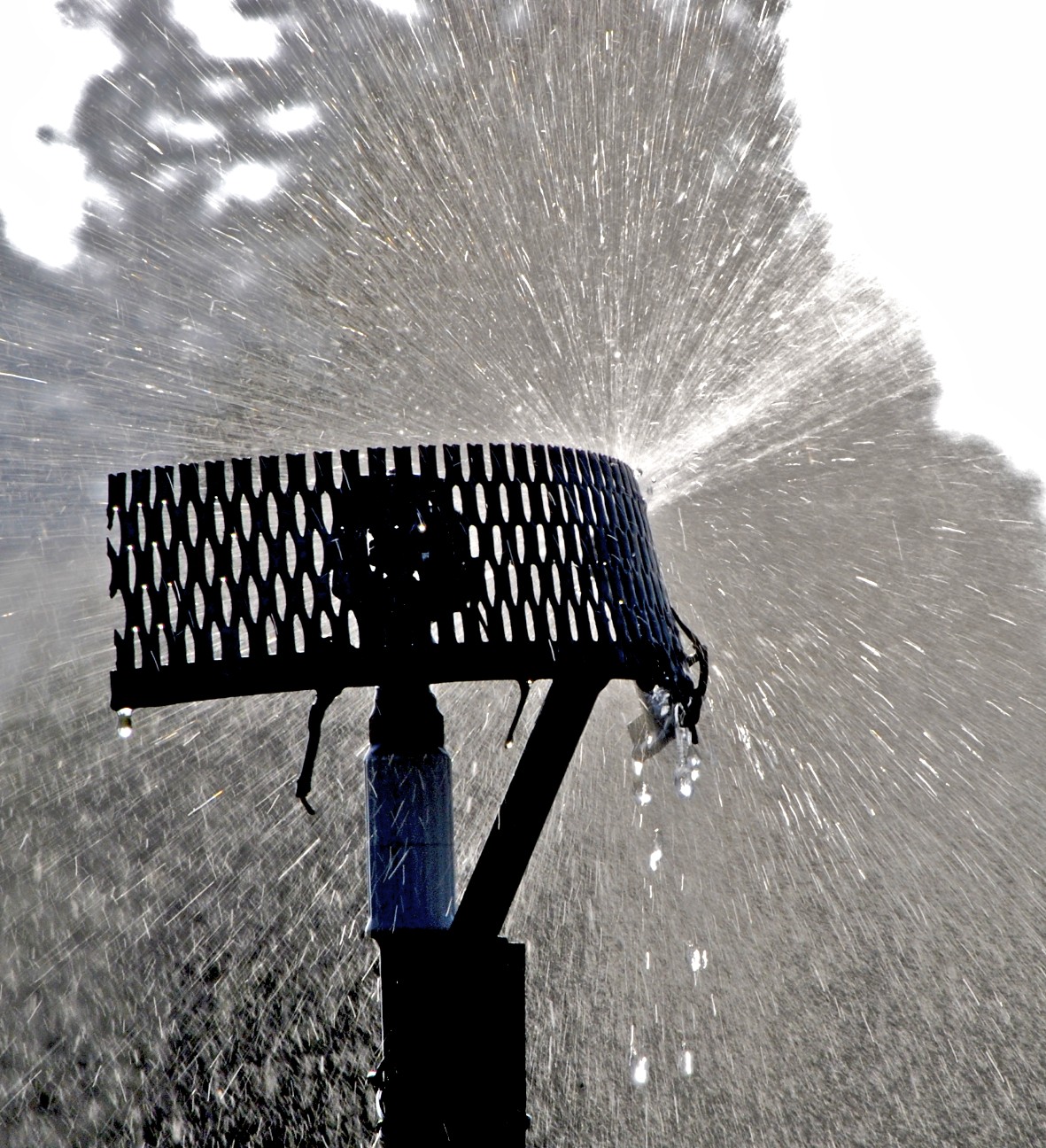 A sprinkler throwing an even arc of water across a lawn at golden hour