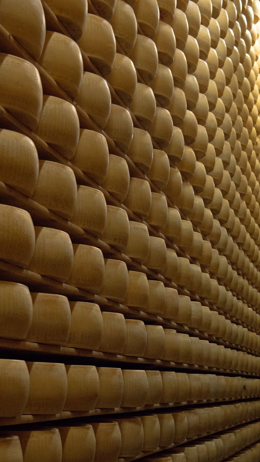 Cheese rounds aging on a rack