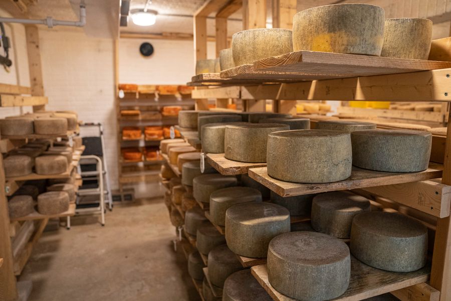 Shelves of cheese wheels aging