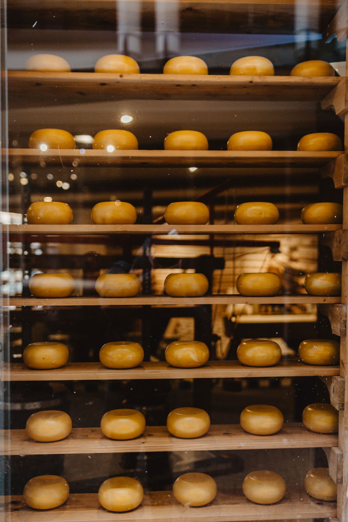 The deli display case