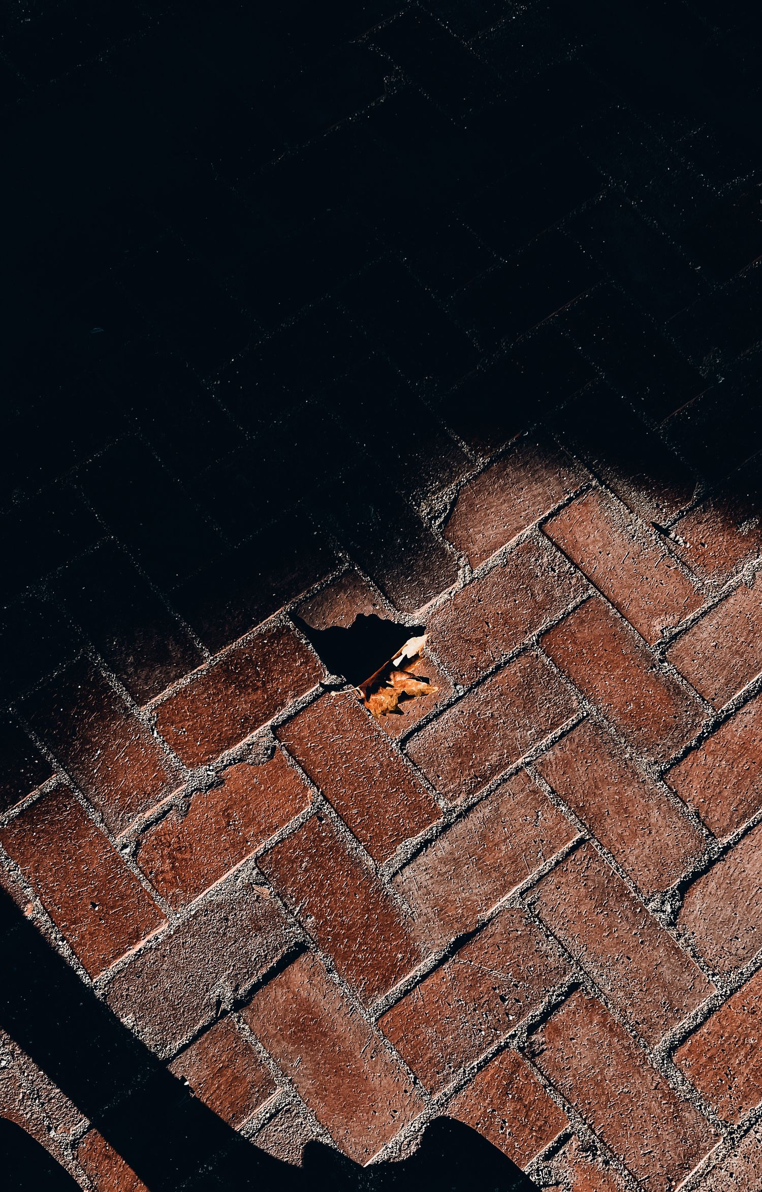 Sealed brick pavers in low light