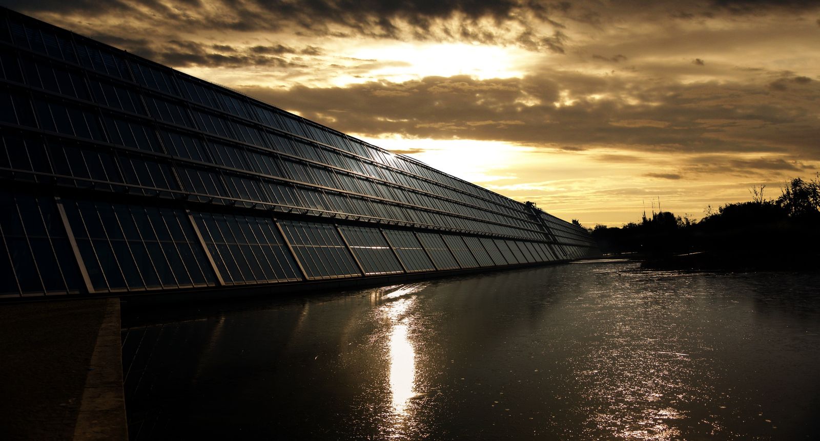 Rows of solar panels catching low evening sun in the Fraser Valley