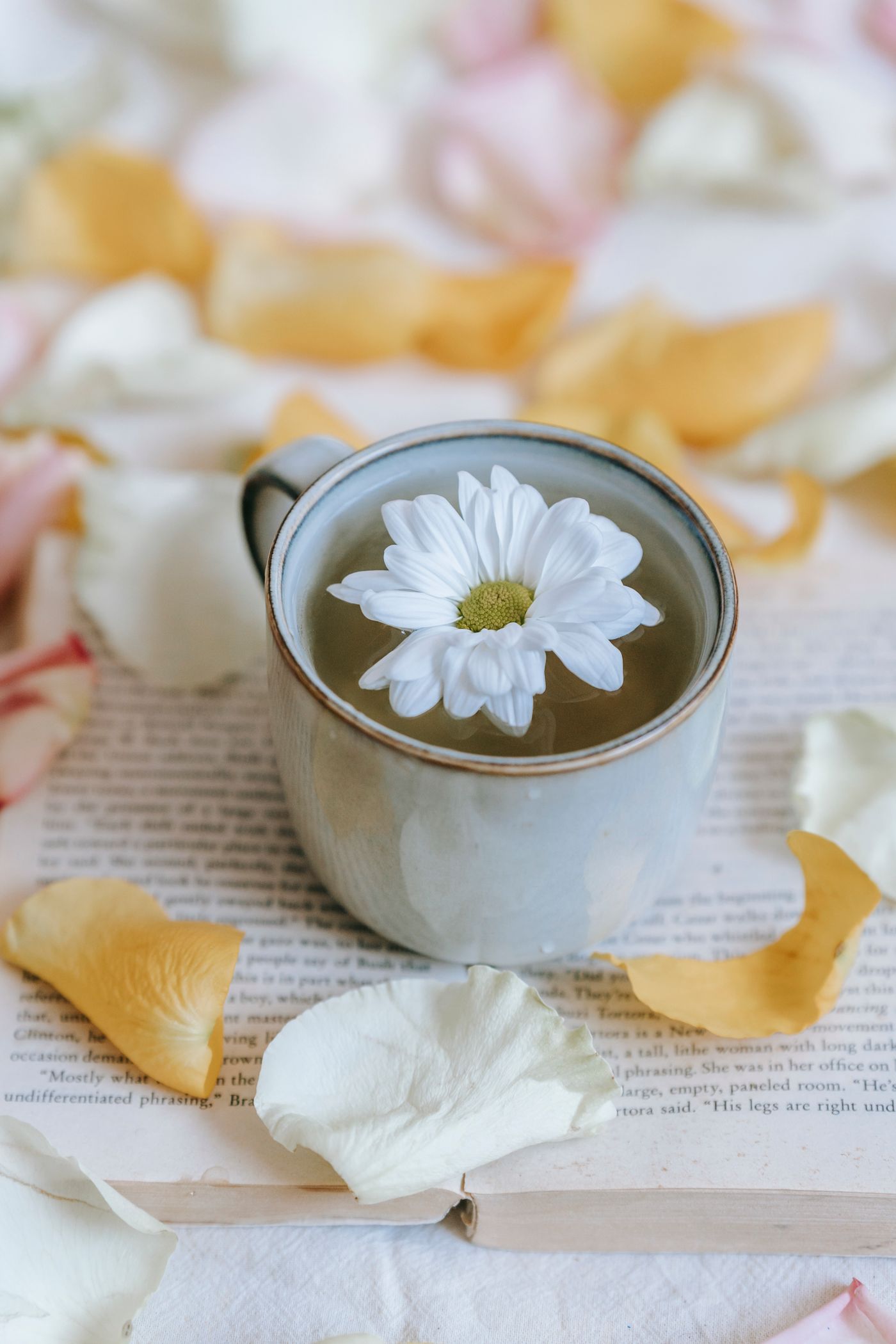 A single daisy resting in a cup
