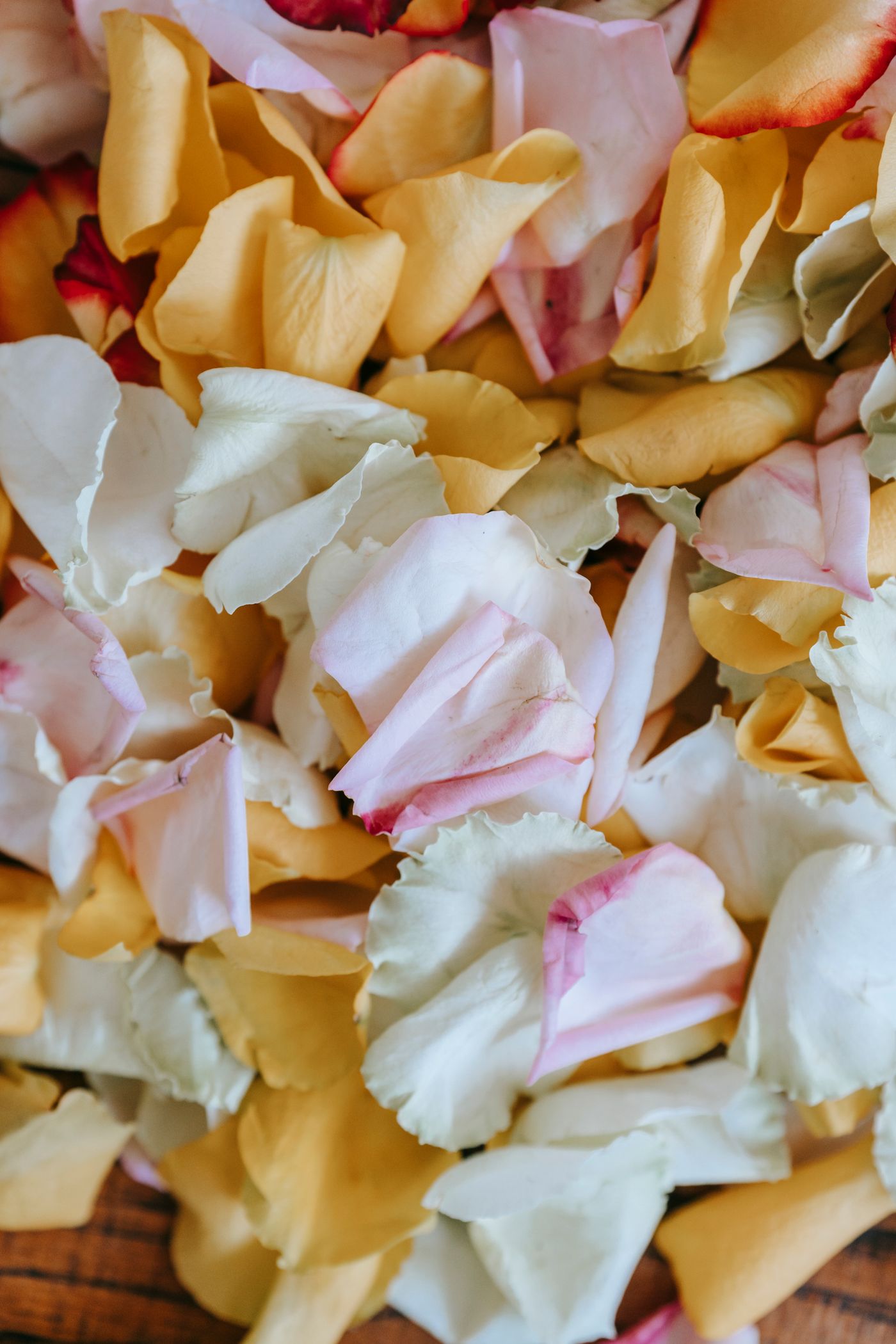 Warm gold and rose petals