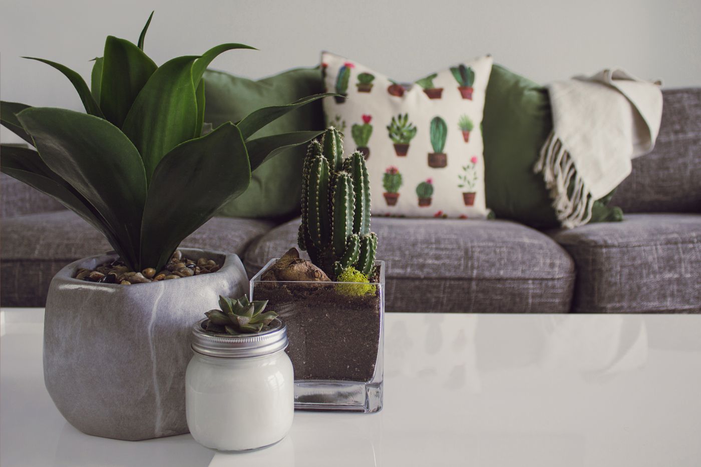 A bright shop corner crowded with potted green plants