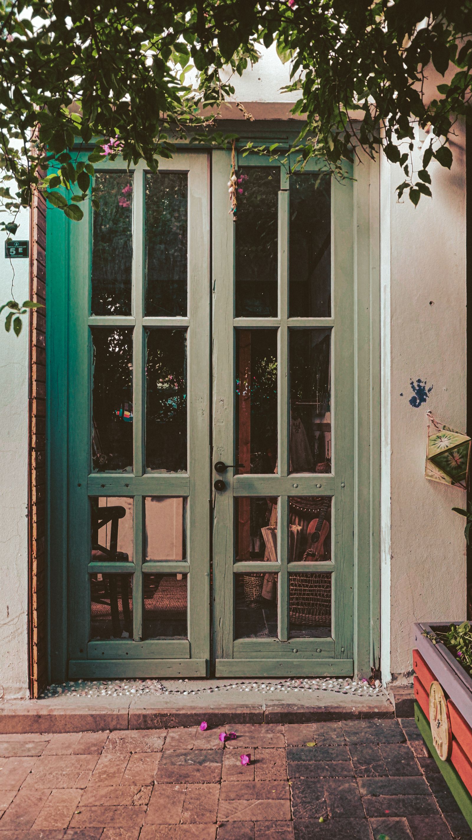 Green French doors onto a garden