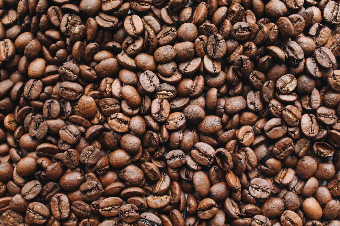 Freshly roasted coffee beans
