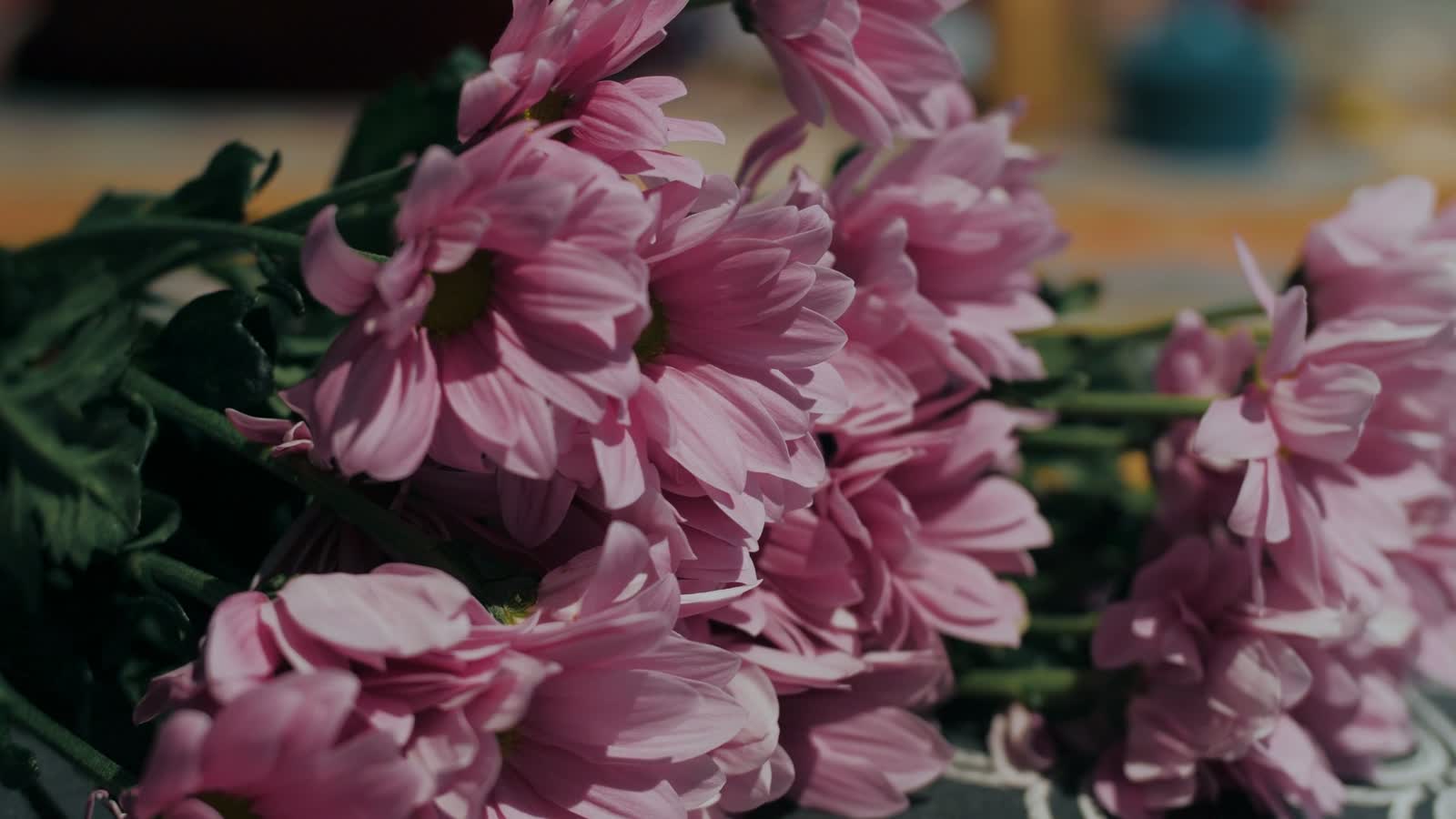 Lush seasonal blooms on the bench at GG Flowers