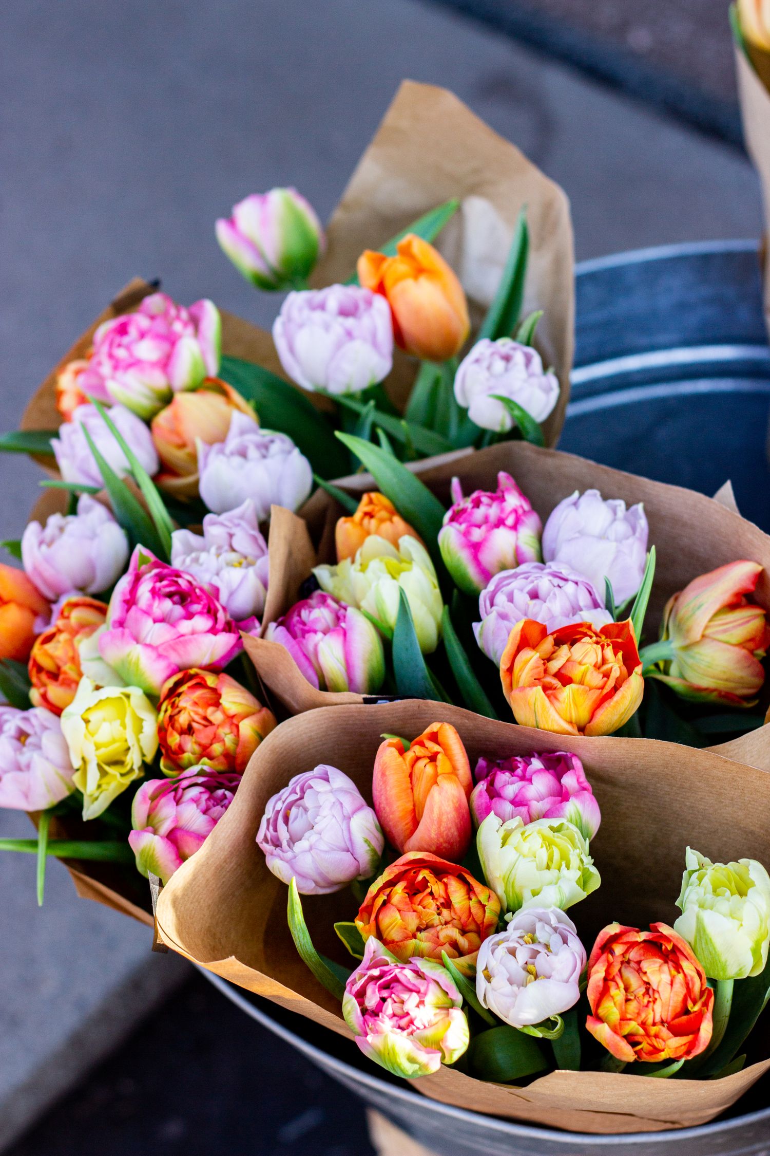 Tulip bouquets wrapped in kraft paper
