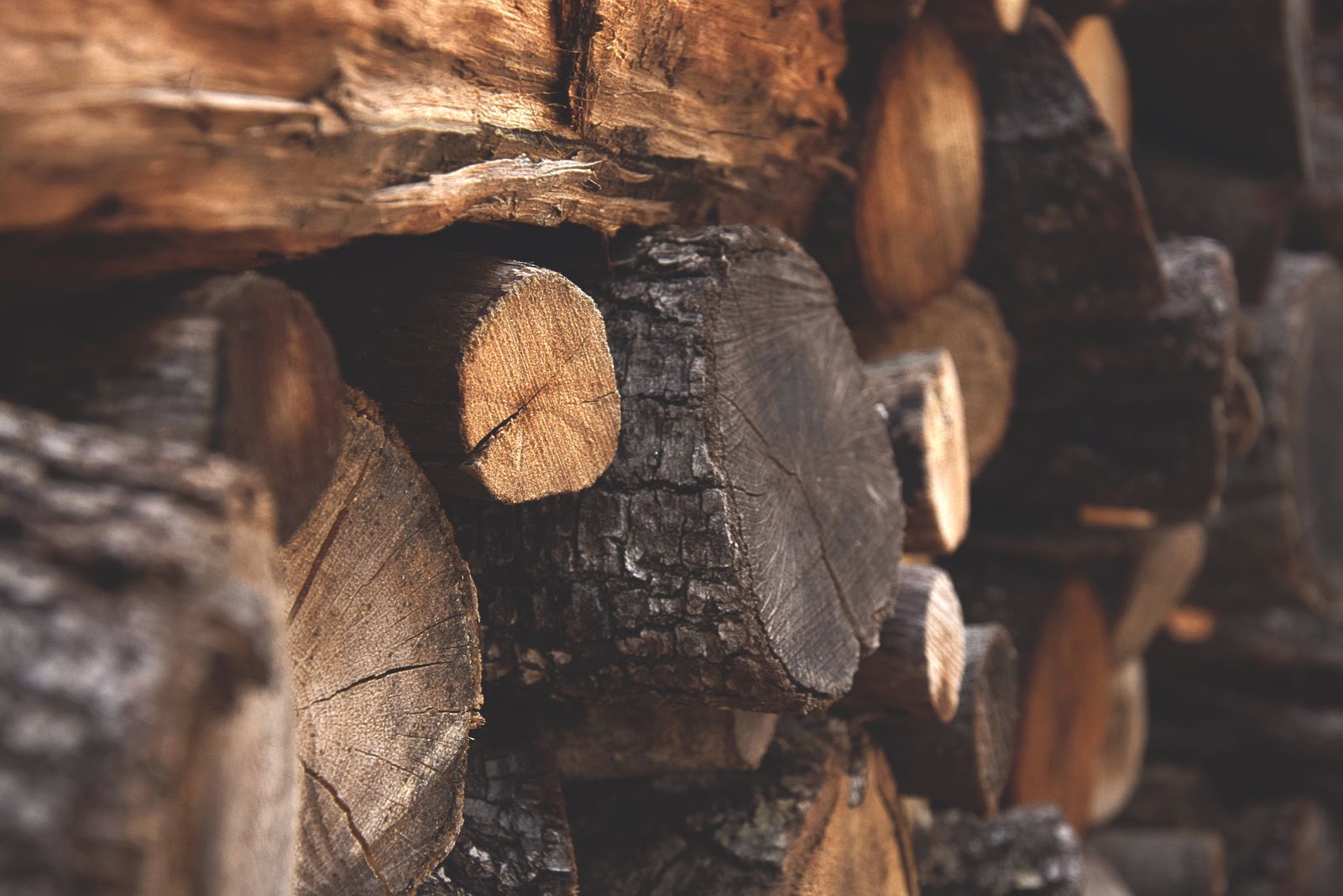 Stacked cut log ends