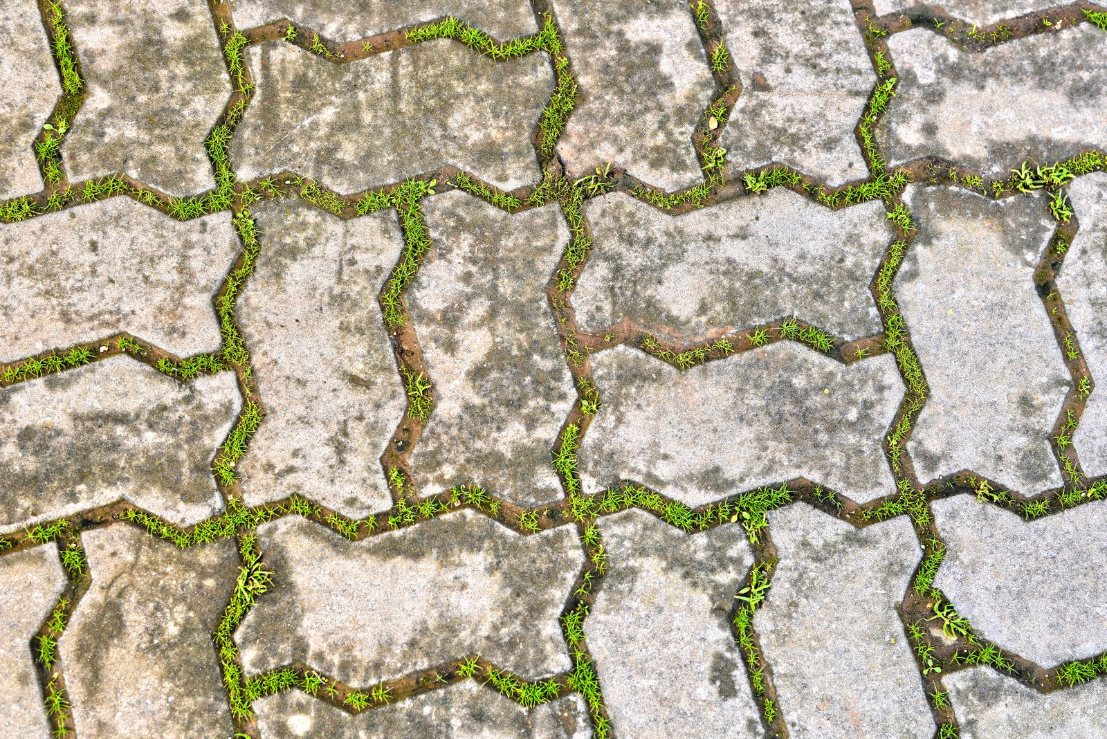 Concrete patio with grass joints