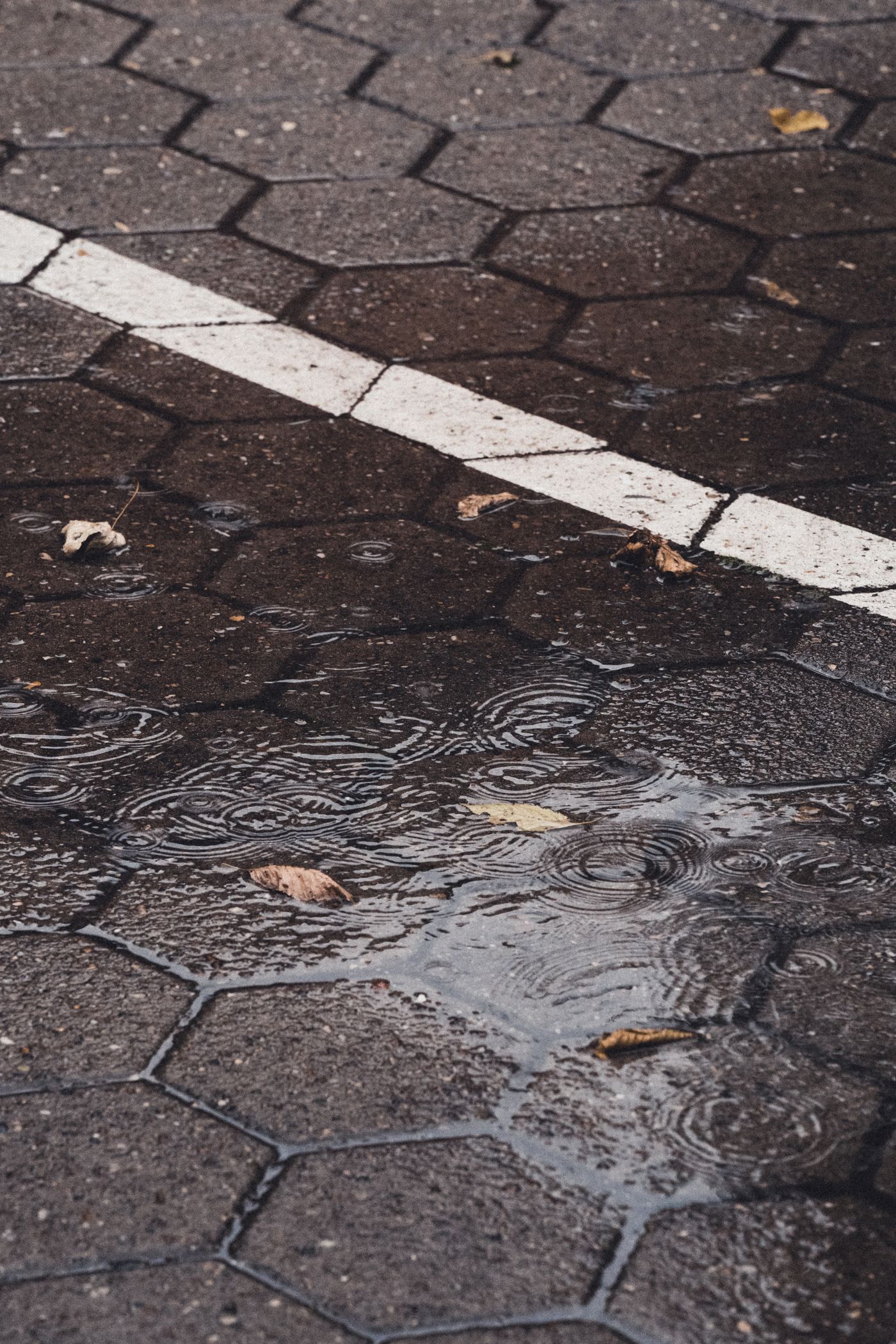 Freshly washed paving with clean wet surface