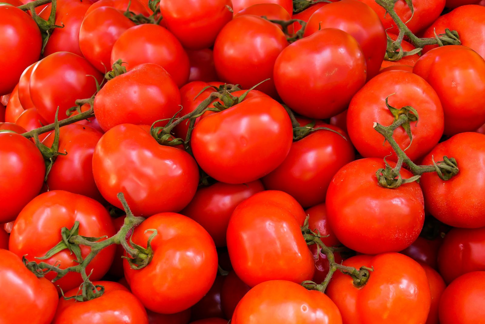 Fresh tomatoes on a wooden surface