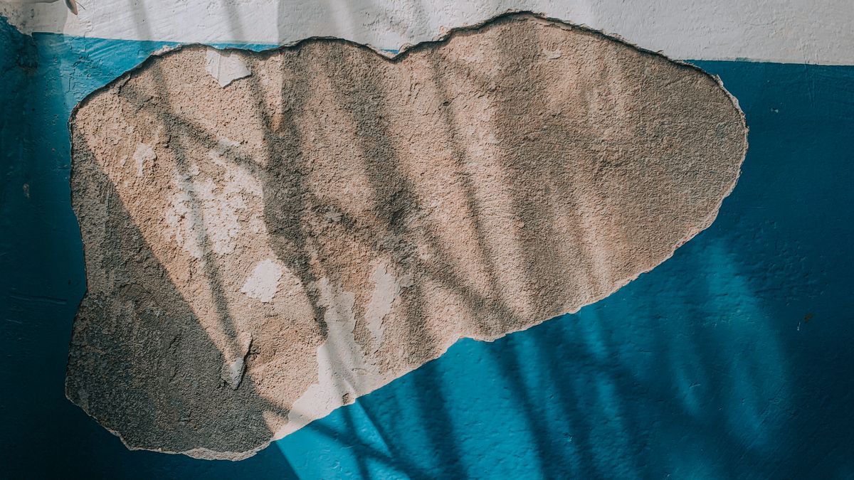 Peeling paint and damaged plaster from moisture and mould