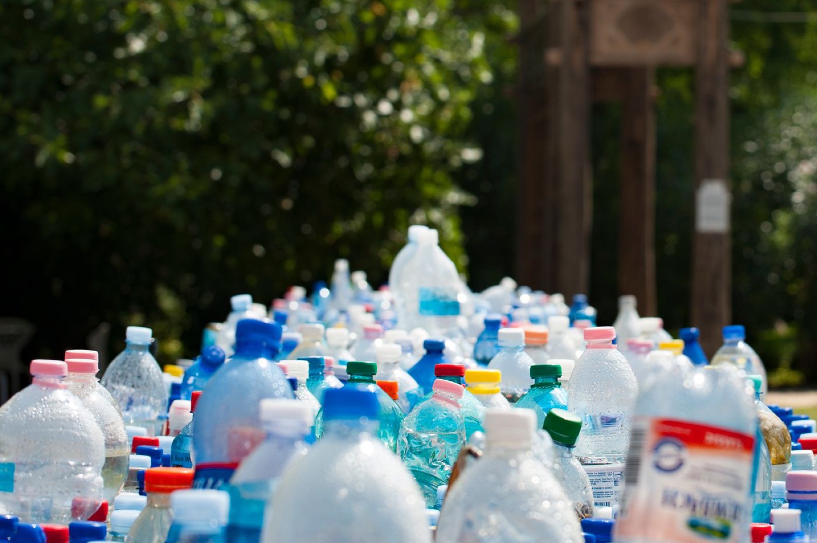 Sorted recyclables diverted from landfill