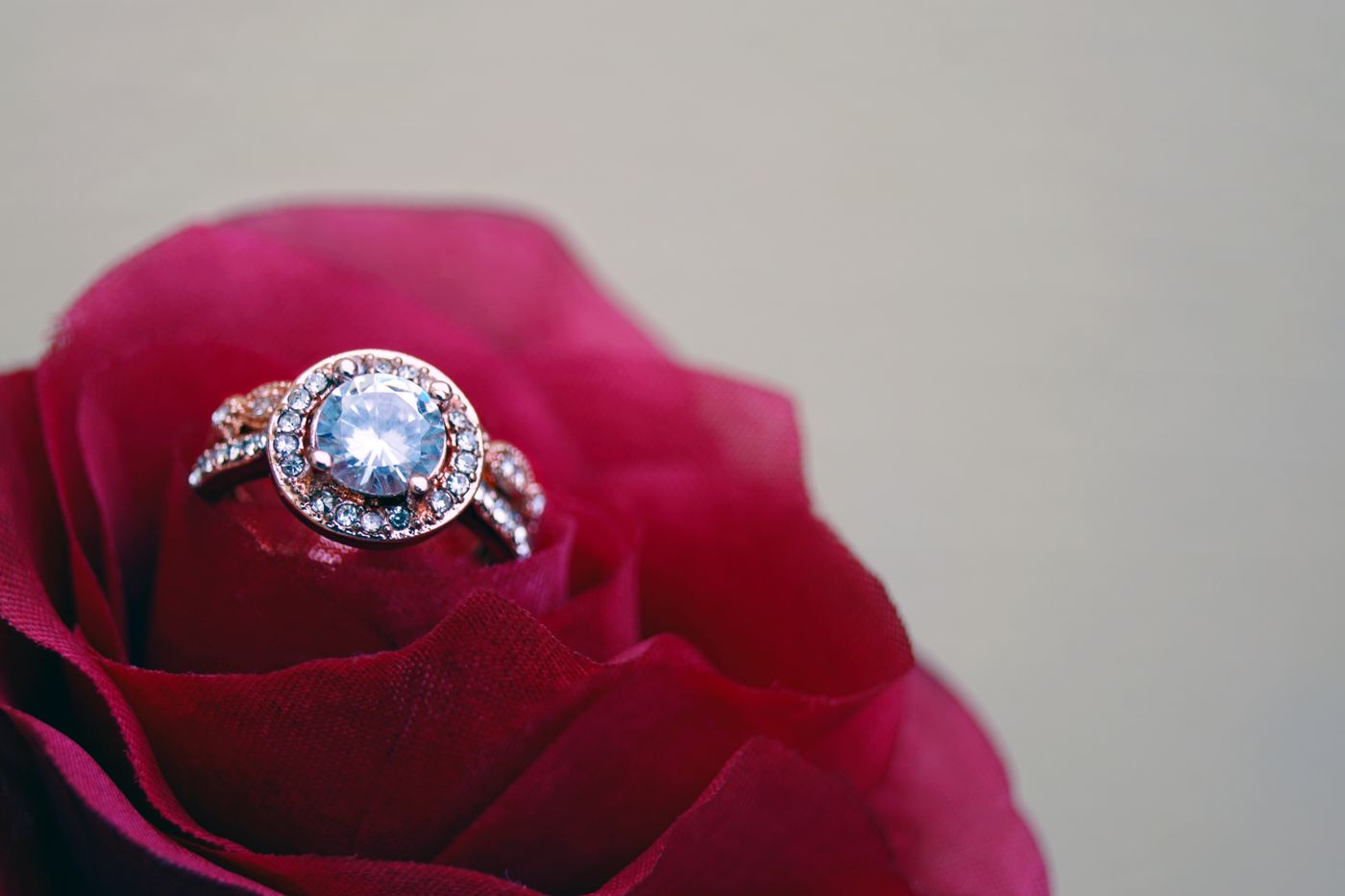 A halo ring on a rose