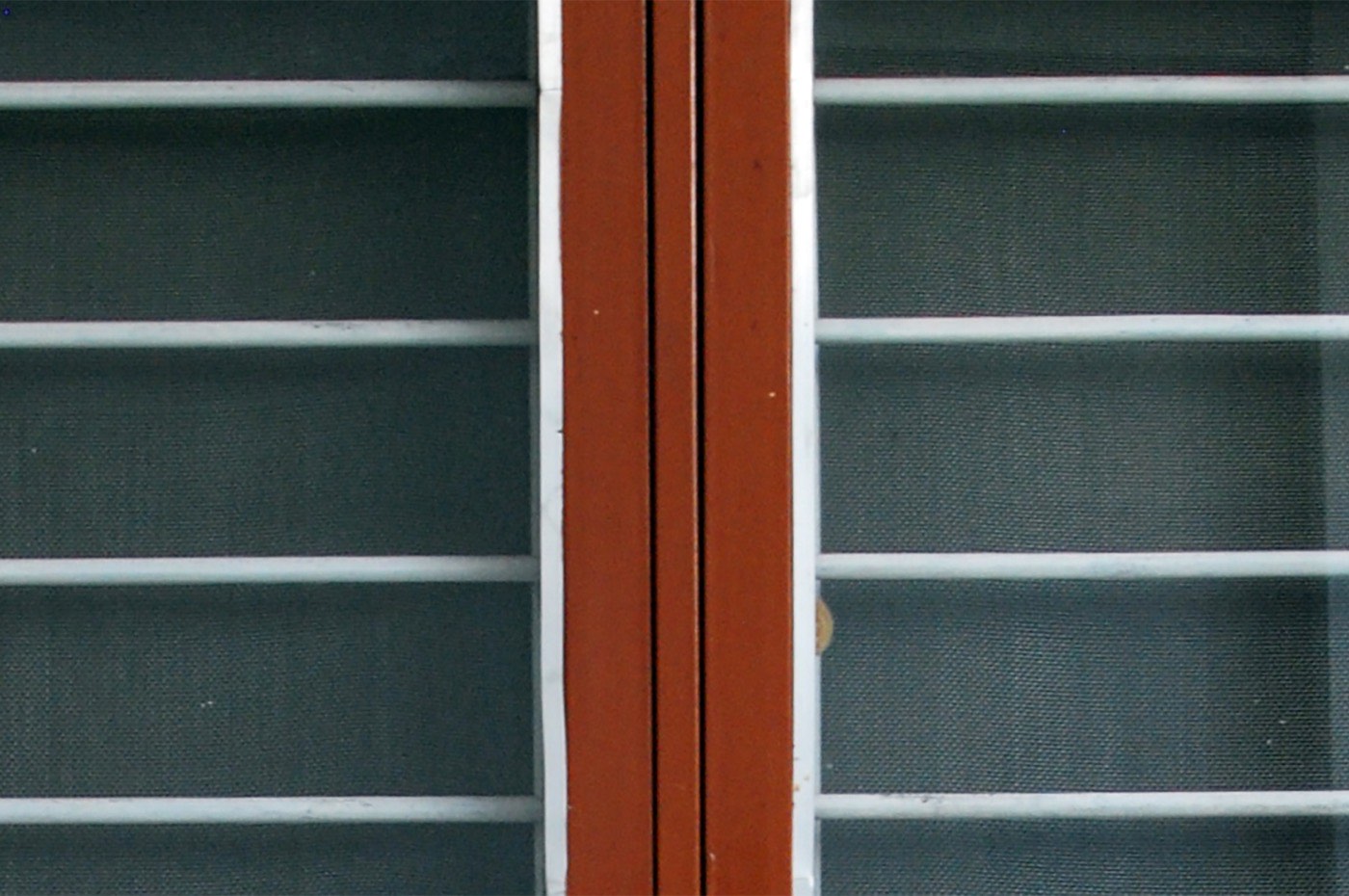 Close-up of wood-slat blinds