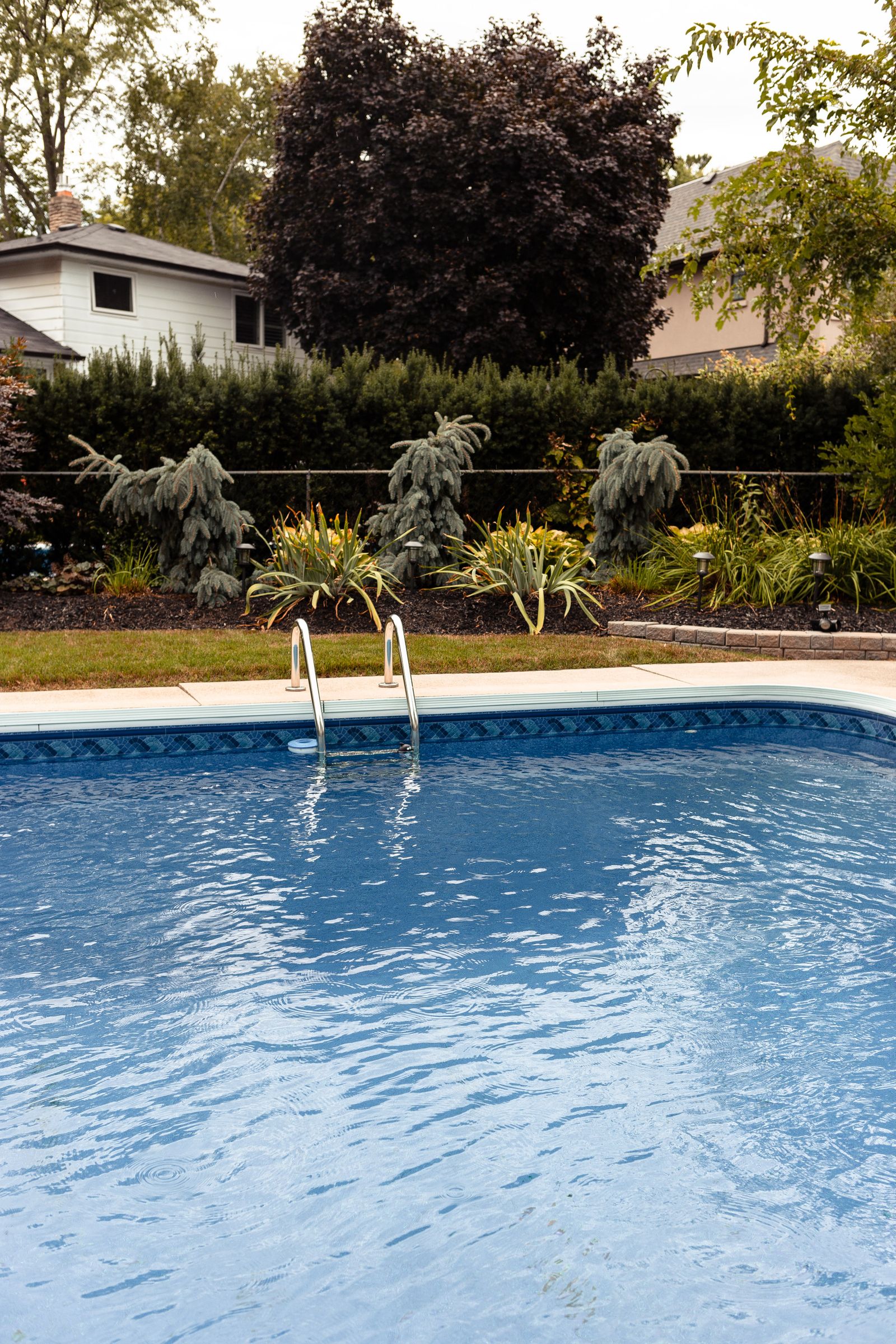 Residential vinyl-liner backyard pool with garden and ladder