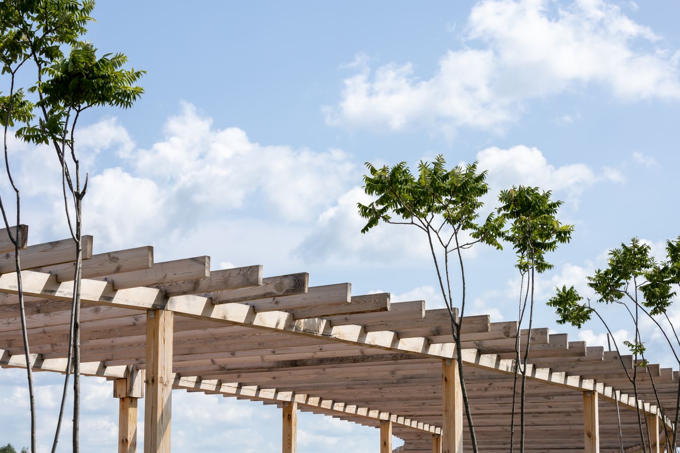 Wooden pergola against the sky