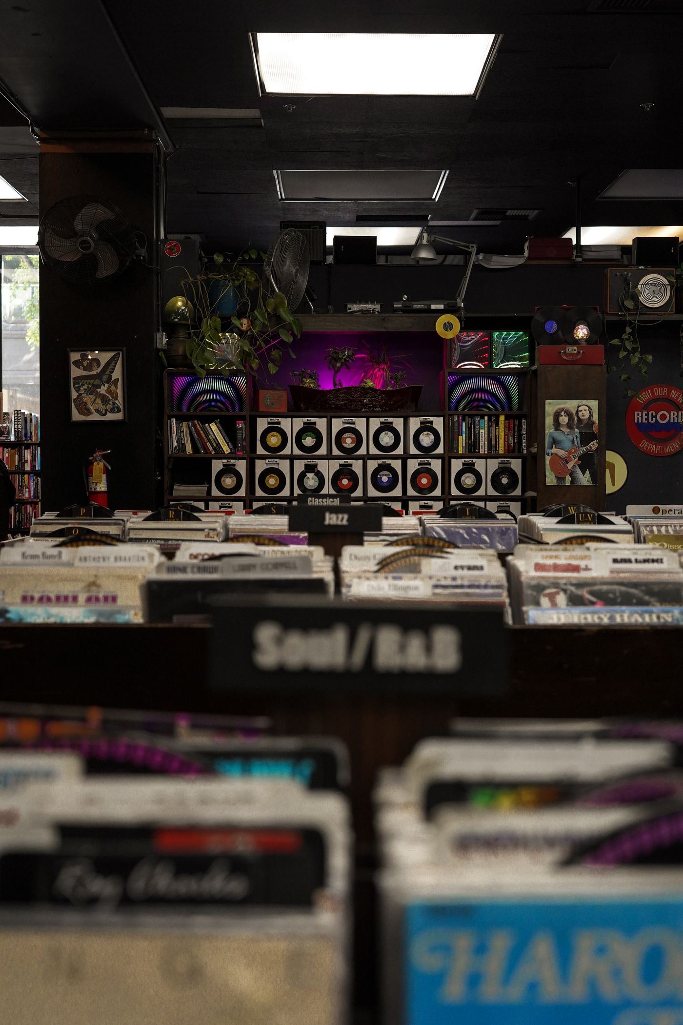 Genre divider cards in the bins