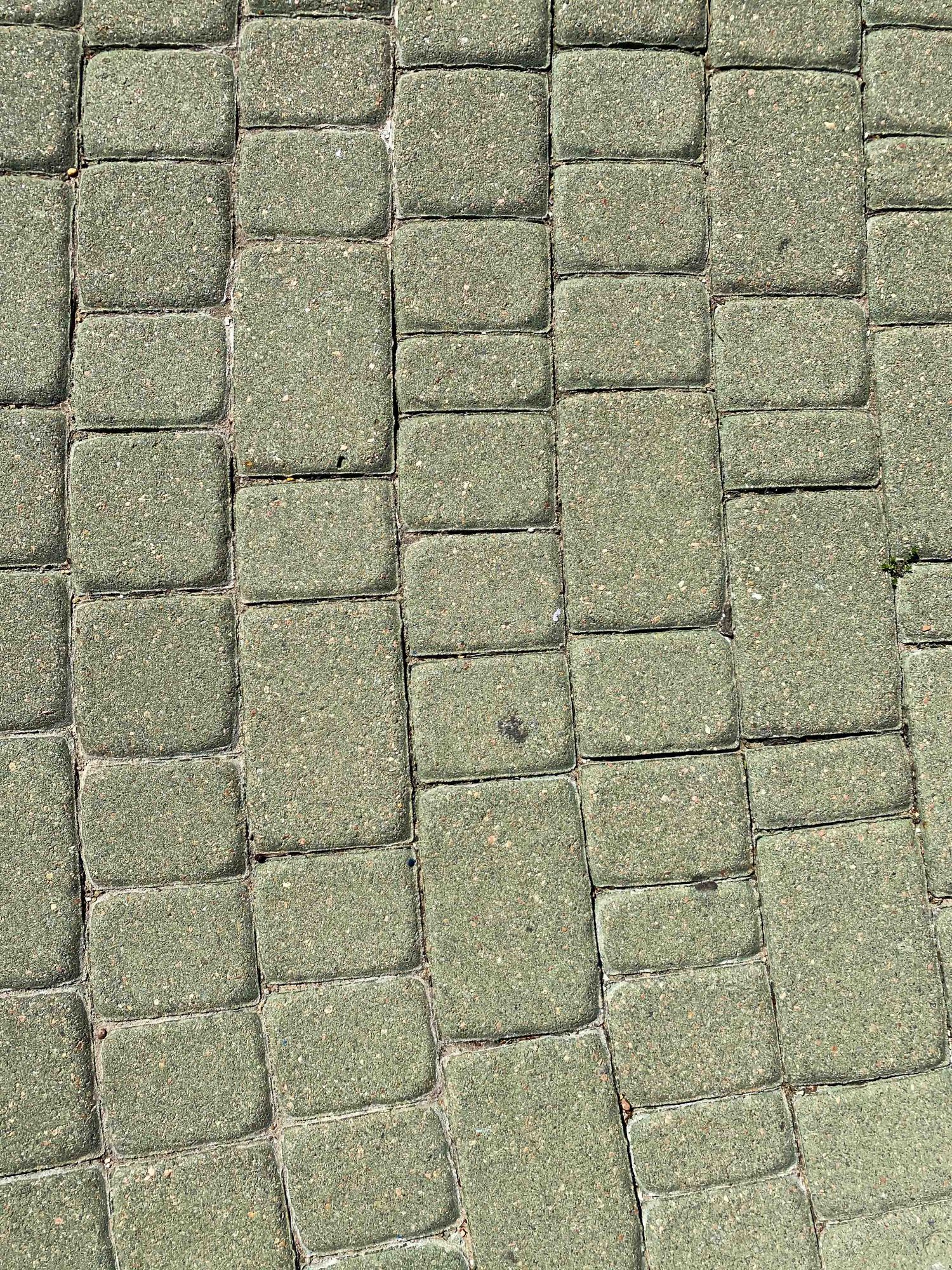 A cobblestone path