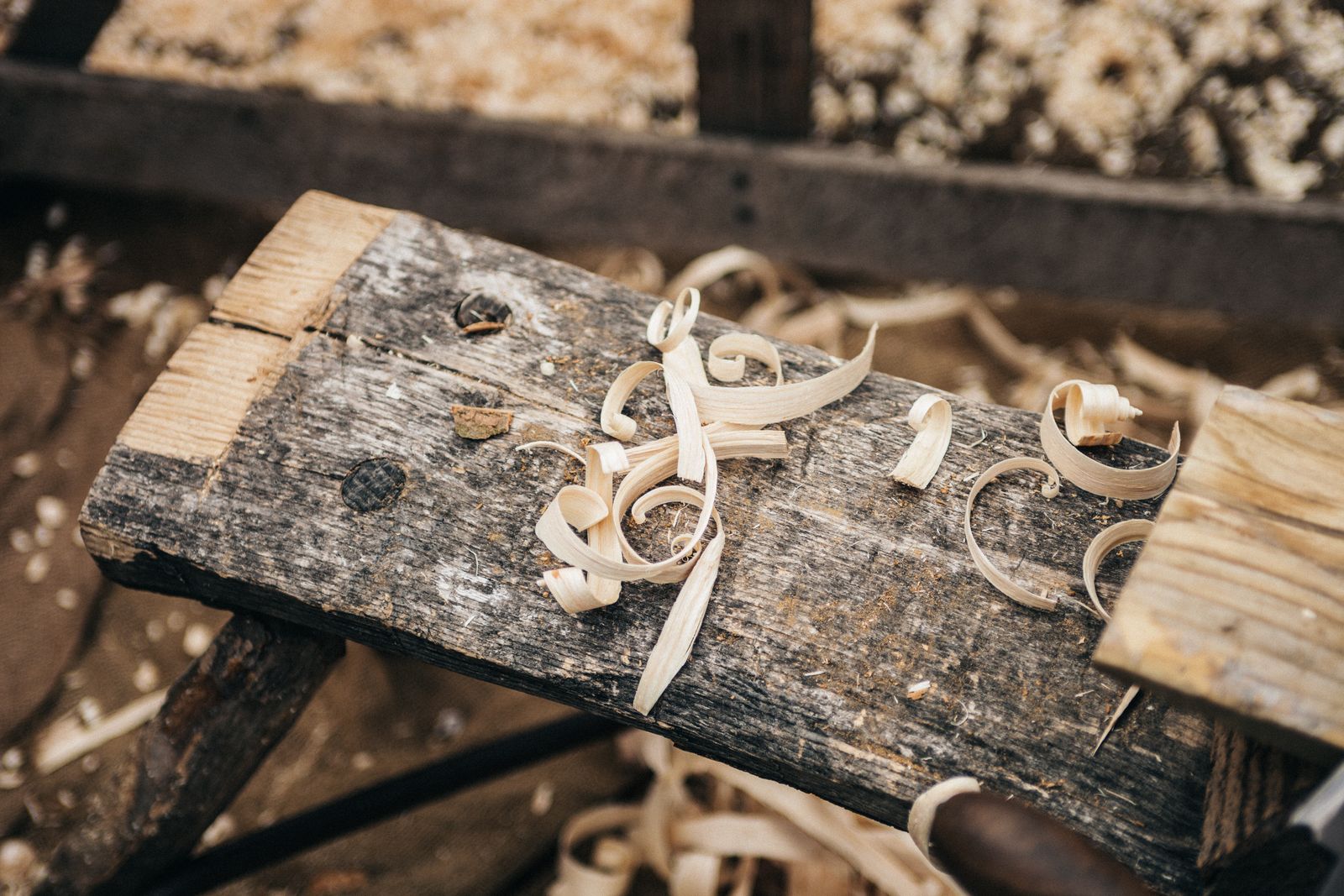 Cedar shavings on the bench