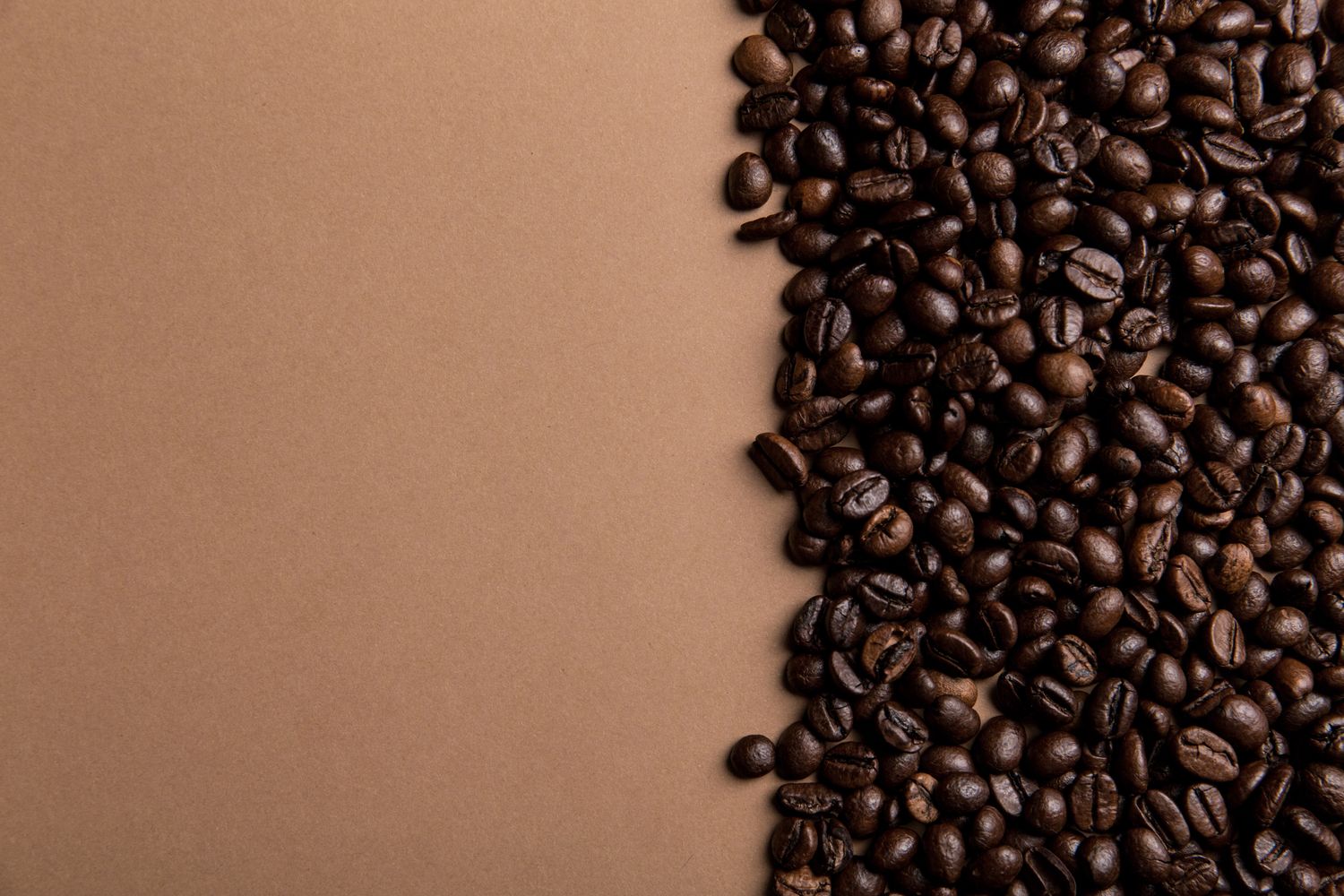 Freshly roasted beans