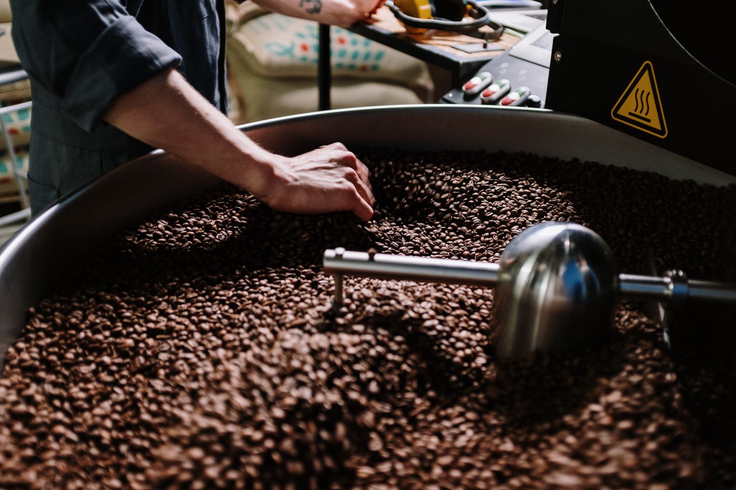 Scooping beans at the roaster