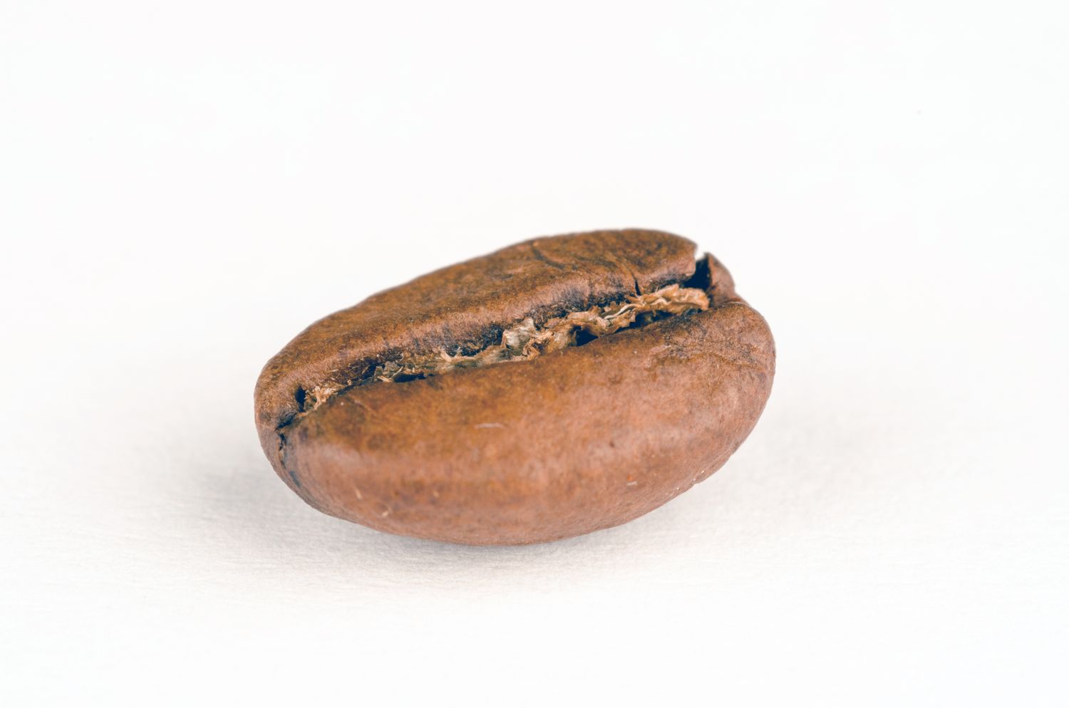 A single coffee bean