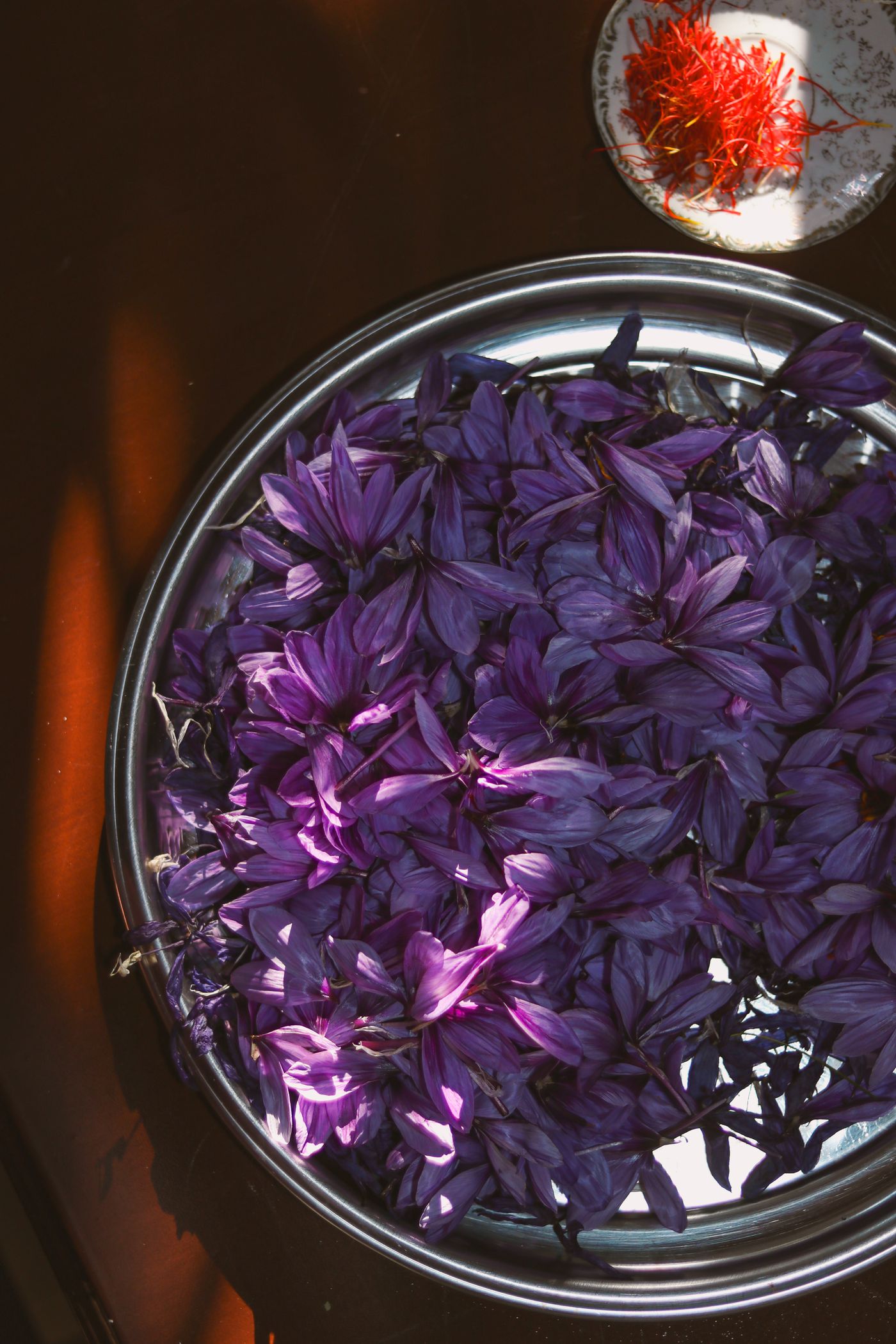 Saffron crocus flowers