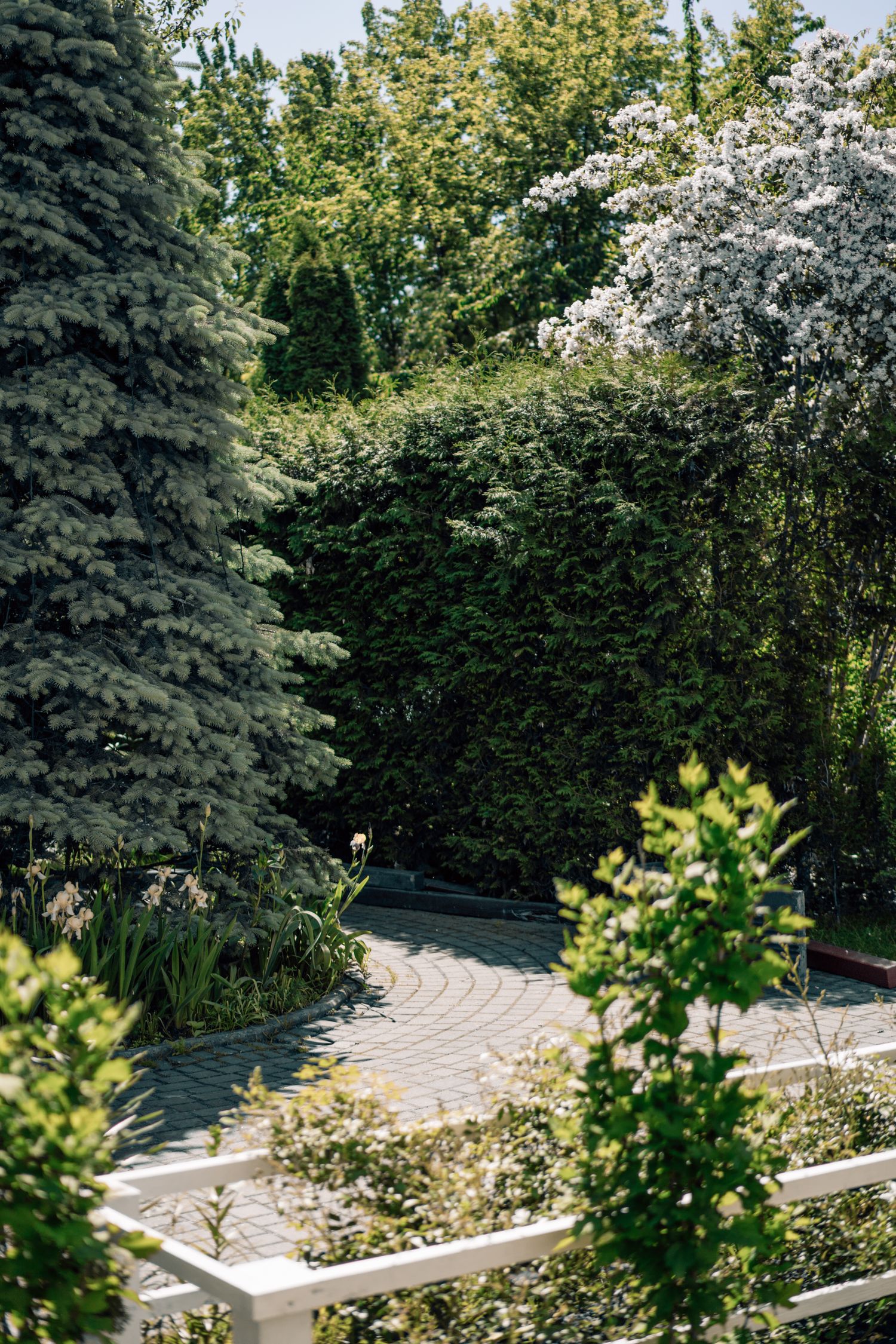 Curved paver pathway
