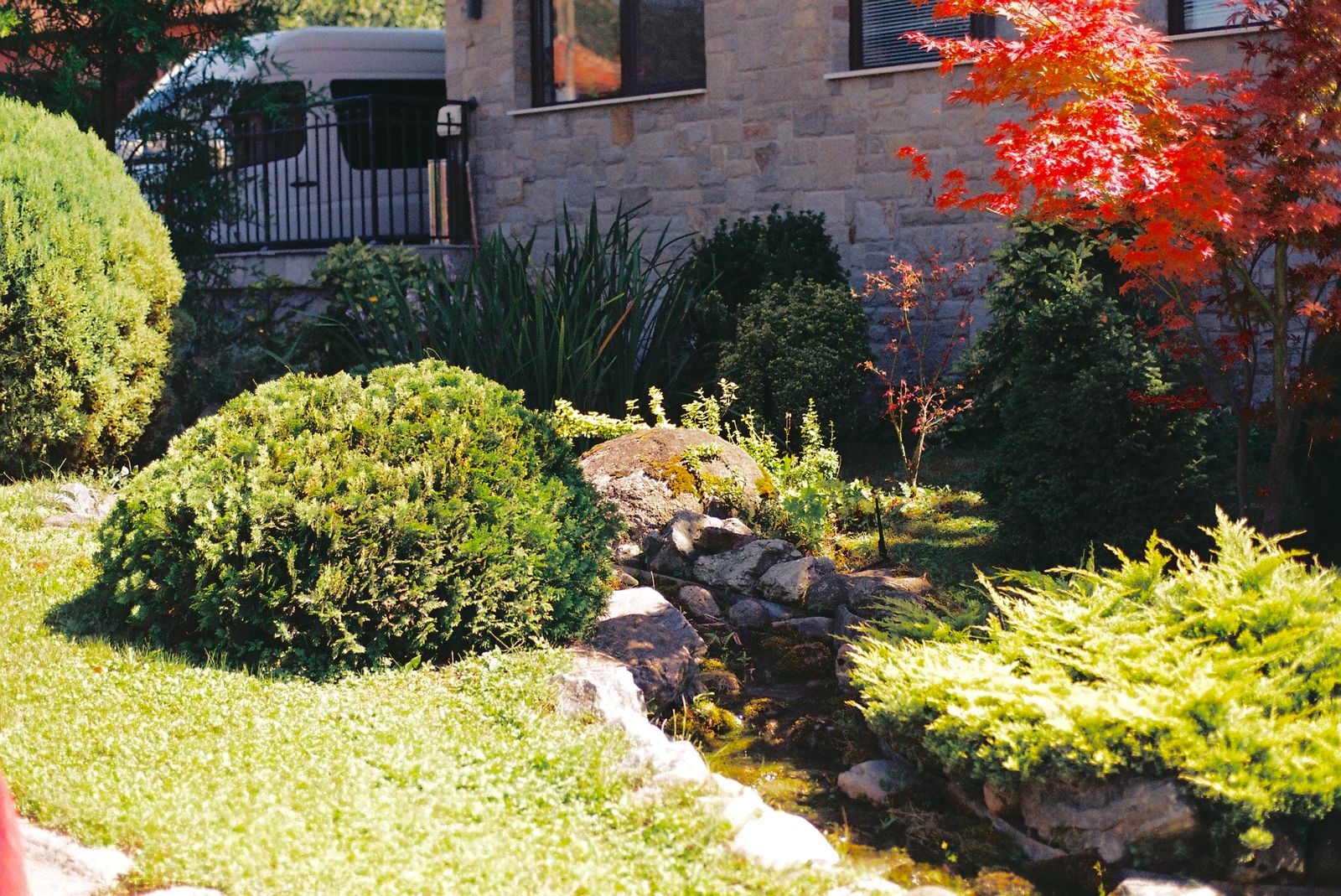 A finished landscaped yard with a feature maple