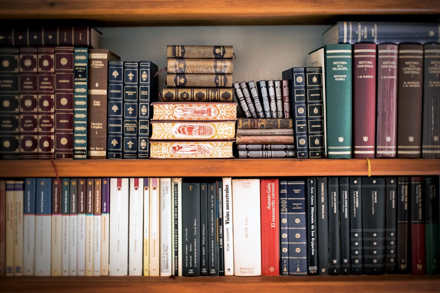 Leather-bound volumes on a shelf