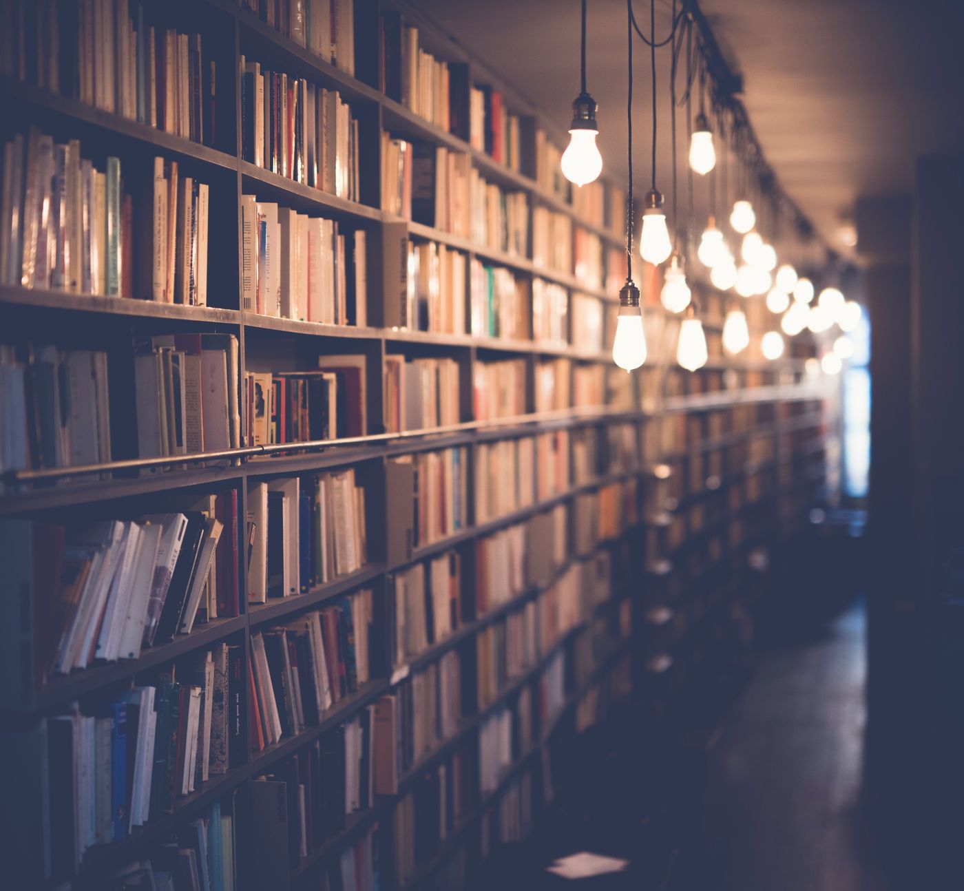 A long lit shelf in a quiet bookshop