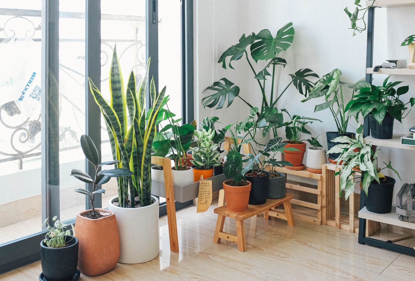 Bright, plant-filled clinic space