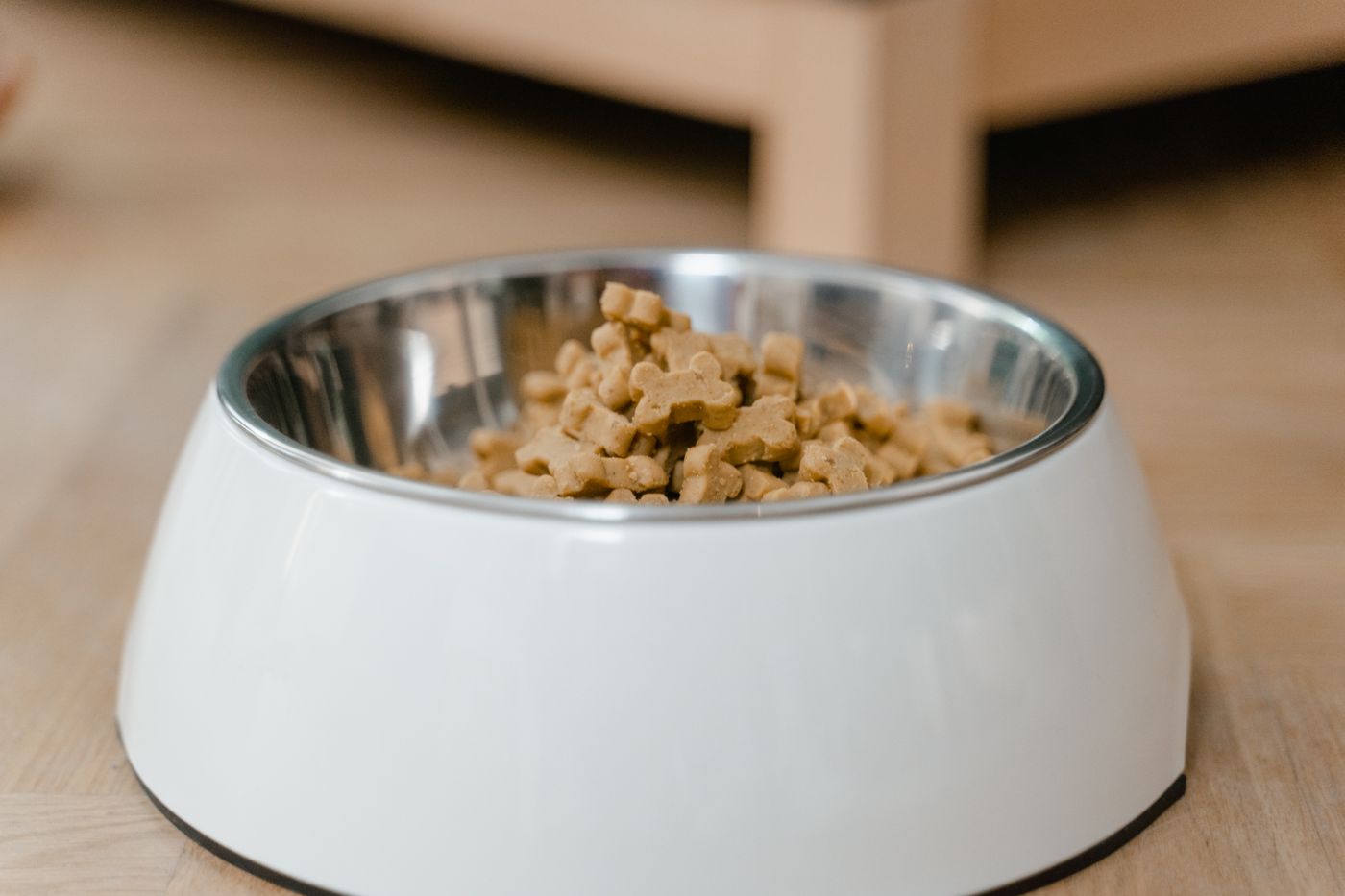 A clean feeding bowl