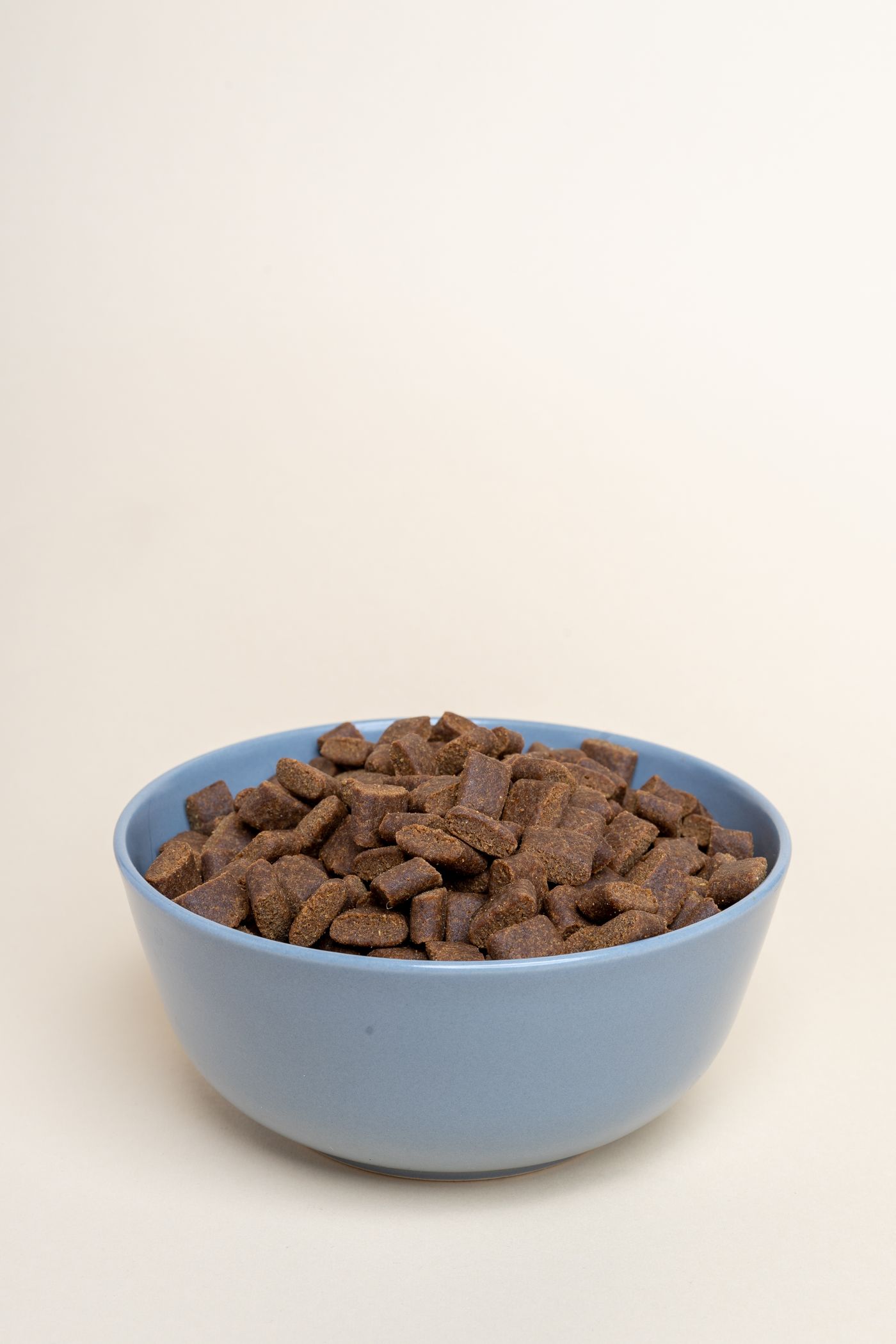 A blue bowl of dry pet food