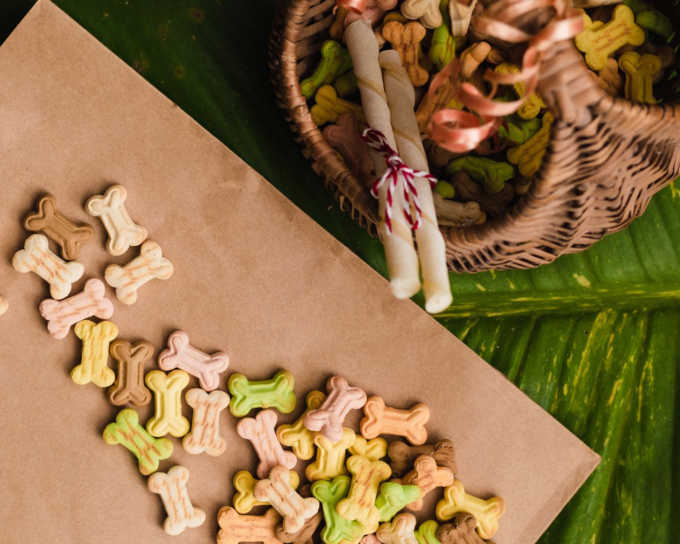 Colourful bone treats spilling from a basket