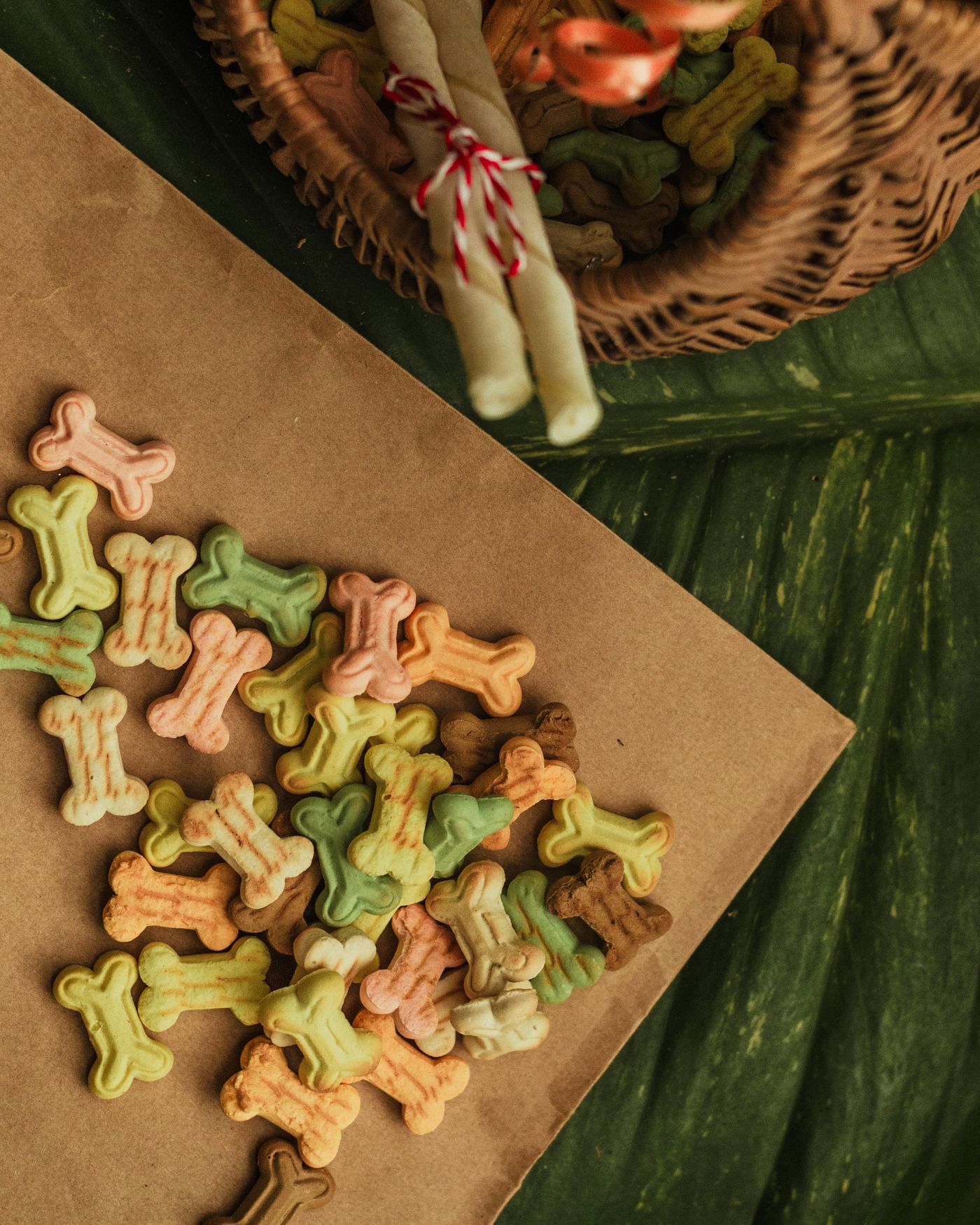Colourful bone biscuits on wood